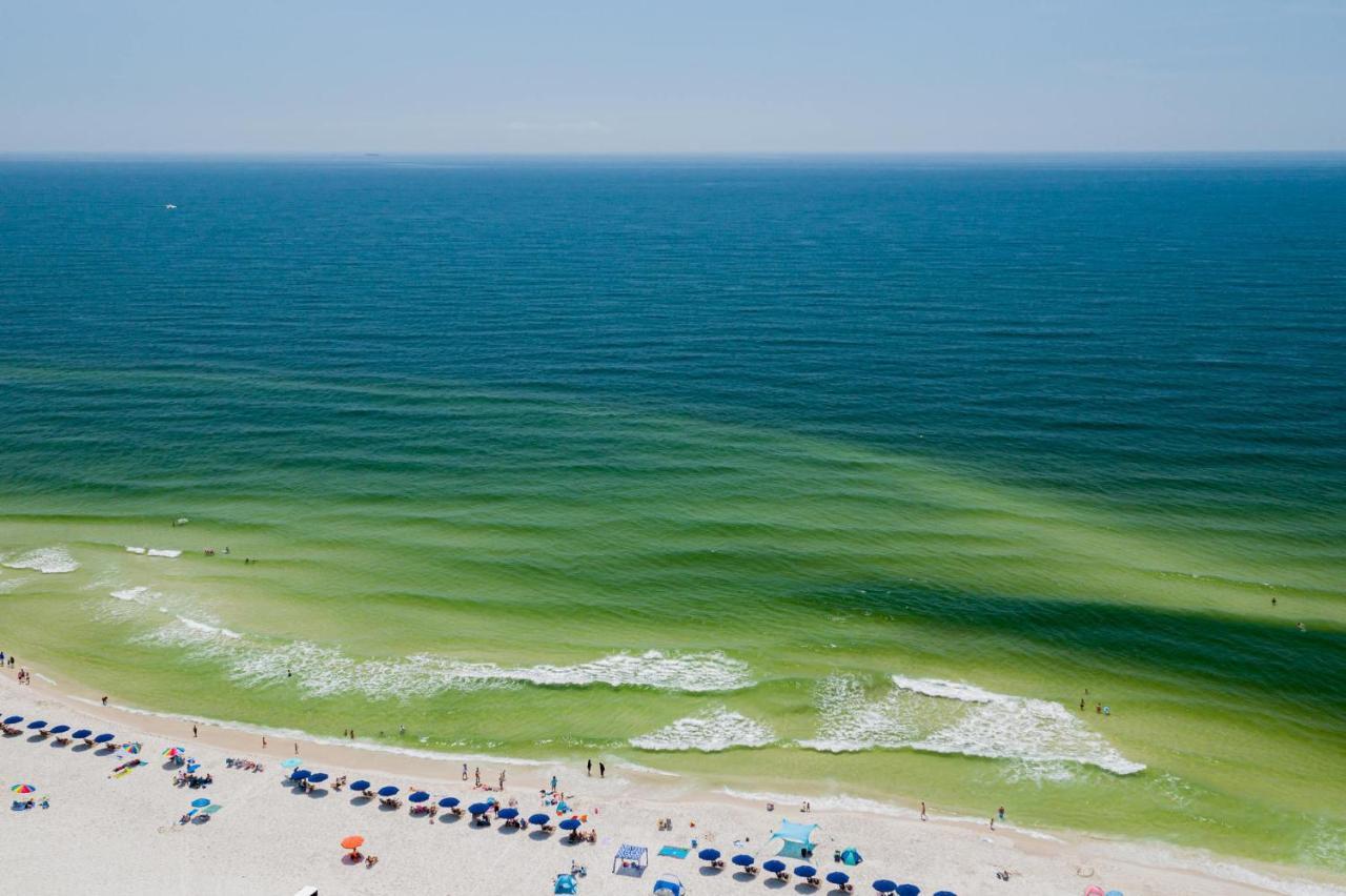 Sunset Spring Break Special ! Daire Gulf Shores Dış mekan fotoğraf